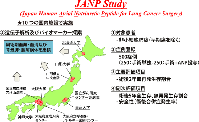 (Japan Human Atrial Natriuretic Peptide for Lung Cancer Surgery)